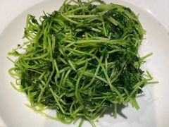 鸡油豆苗-羲和雅苑•北京烤鸭(乐园道万象城店)