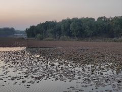 -大兴滨河森林公园