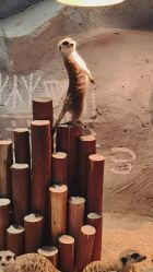 -Zoolung Zoolung动物主题公园(海信广场店)