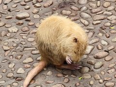 -西霞口神雕山野生动物世界