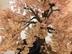 -汤里来温泉