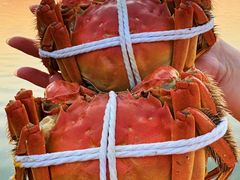 -品鲜村农家菜·阳澄湖大闸蟹(总店)