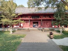 -周肥肠(江油总店)
