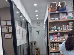 -四月宠物医院·猫专科·心脏专科·内科(转塘店)
