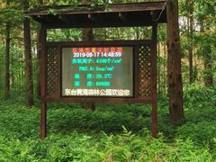 -黄海国家森林公园