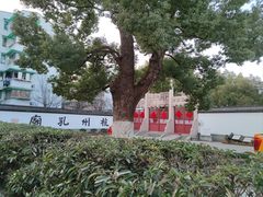-吴山景区