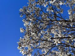 -国家图书馆·古籍馆