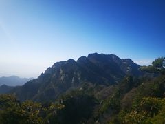 -王顺山国家森林公园