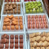 我敢说!没有一个plmm可以空手走出这家店!