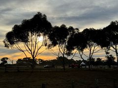 -威勒比开放式动物园