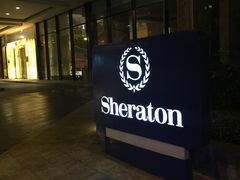 -芽庄喜来登水疗酒店
