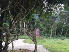 iphone_upload_pic-广西龙虎山风景区