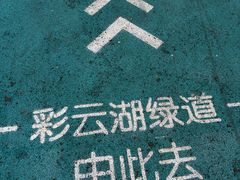 -重庆彩云湖湿地公园