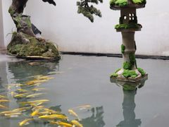 -觀芷隐轩