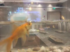 -黄鱼炙夜(华家池店)