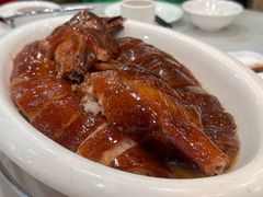 -万年酒楼(越秀南路店)