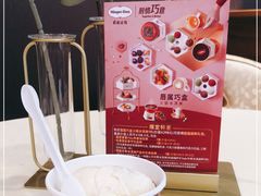 -哈根达斯(石家庄北国店)