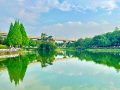 -升仙湖公园