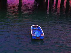 -五缘湾湿地公园