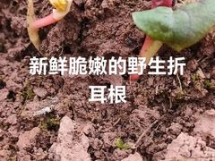 -府河摄影公园