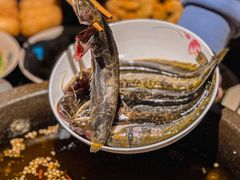 -石锅苗苗鱼(武汉首店)