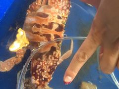 -幸福姐海鲜大排档