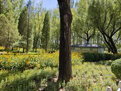 -森林公园(尖草坪区)
