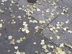 -江湖六膳門串串香(隆礼路店)