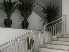 -美可普口腔医院(东街分店)