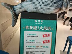 -青花椒花椒鱼(合生汇店)