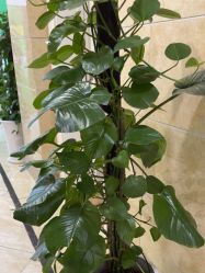 -重庆军科整形美容医院