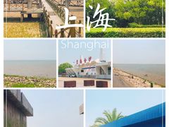 -碧海金沙