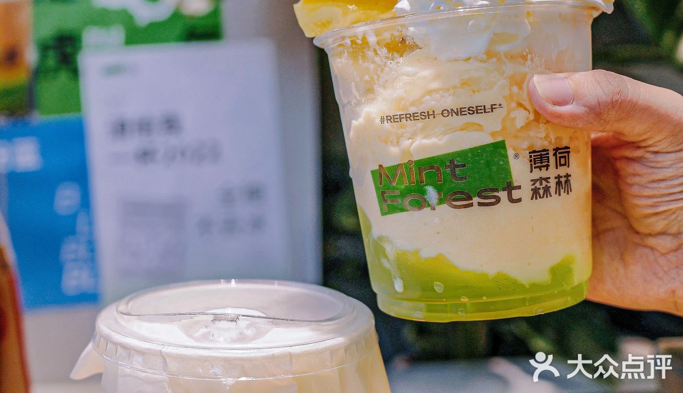 清凉到我的心巴上‼️薄荷森林来成都了
