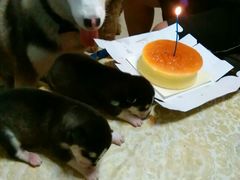 -皇冠 · 玛莉奥(丽江店)