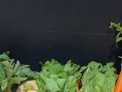 -龙宴海鲜城(经中路店)