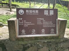 -都江堰中华大熊猫苑