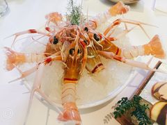 -斯普汇生蚝牛排馆(中骏世界城店)