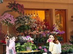 -溪岸路花鸟市场