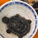 它的缺点……便宜又好吃😋