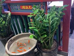 景观位-大海碗·京菜炸酱面(雍和宫店)
