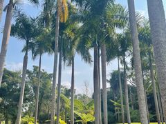 -中国科学院西双版纳热带植物园