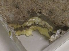 -7cake榴莲千层蛋糕(松江店)