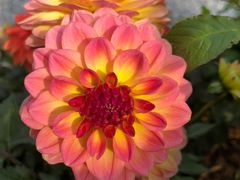 -人民公园(罗湖区)