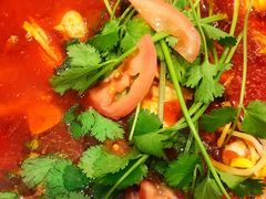 乌江豆腐鱼火锅-贵凤凰贵州米粉(五道口店)