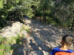 -阳台山自然风景区