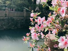 -惠山古镇·寄畅园