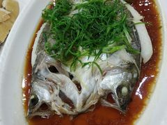 -广宁炭炉鸡煲·富临门饭店