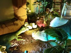 -恐龙探索乐园(磁器口店)