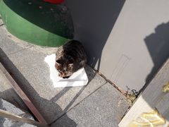 景点-哈尔滨极乐寺