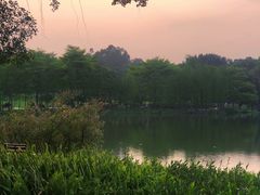 -东莞植物园